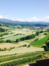 Apartamento Schwarzwald Domizil Uhlsberg