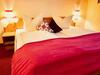 Hostal Gasthof Hotel Waltraud