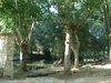 Agroturismo El Rincon Del Labrador