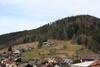 Hotel Schwarzwald-gasthof Hirsch