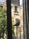 Bed & Breakfast Benedettini Palace - Exclusive Suites & Views