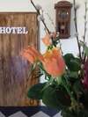 Pension Hotel Bad Langensalza Eichenhof