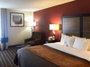 Hotel Comfort Inn Edmund Pettus Bridge Area