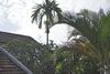 Hotel Khanh's Home