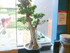 China Community Art Habitat Hotel