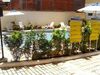 Hostal Pousada Mosaico De Maresias