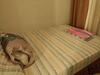 1 Bedroom Condo At Sea Residences By Jc