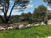 Apartamento Gites Les D�lices Au Miel - Studio