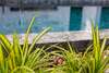 Hotel The Seaton House Phuket