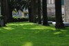 Hotel Roqui�o
