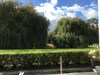 Bed & Breakfast Karapiro Willows Luxury B & B