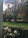 Bed & Breakfast Karapiro Willows Luxury B & B
