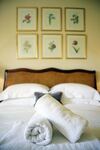 Bed & Breakfast Grace -tiger Inn
