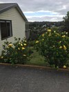Sunseeker Cottages Motel