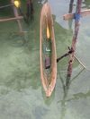 Bed & Breakfast Hoga Island Dive Resort Wakatobi