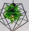Locals Boutique Apartment Shijicheng No8