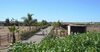 Agroturismo Koheilan Oriental Lodge Farm
