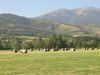 Agroturismo Mas D'arav�
