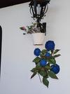 Hotel Rural El Pagad�n