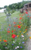 Apartamento Studio In Tonnay-charente, With Enclosed Garden And Wifi
