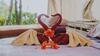 Damarwidi Glamping By Madhava
