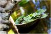 Lodge Caba�as Y Spa Las Pircas