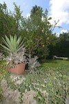 Apartamento Residence Villa Grotta Monaca