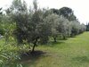 Bed & Breakfast Le R�ve D'emma Chambres D'h�tes