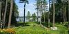 Lake Cottage @ Gilmore Camps On Kezar Lake