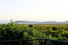 Punda Milias Camp Nakuru