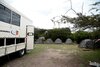 Punda Milias Camp Nakuru