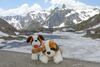 Hotel Au Bivouac de Napol�on