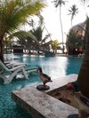 Ocean Queen Hotel