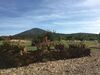 Bed & Breakfast Villa Arzilla Sardegna