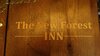 Bed & Breakfast The New Forest Inn