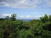 Sea View Apartment