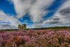 Agroturismo Rawcliffe House Farm