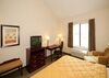 Hotel Comfort Inn & Suites Market Center