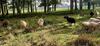 Ch�teau C�te De Nacre