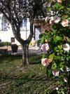 Bed & Breakfast Maison D'h�tes Le Jas Vieux