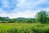 Hotel Pai Village Farm Homestay