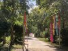 Hotel Pai Village Farm Homestay