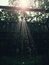 Posada Bel-ha Ecoparque