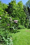 Bed & Breakfast Mont Blanc Location Bien-etre