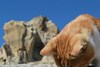 Hotel Tafana Cave & Stone Lodge