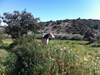 The Birds Nest Luxury B&B