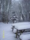 Bed & Breakfast Chambres Et Table D'h�tes Les Trois Marquets