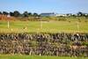 Aparthotel Trevose Golf And Country Club