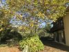 Agroturismo Casa Oriental