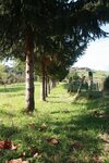 Agroturismo Casa Oriental